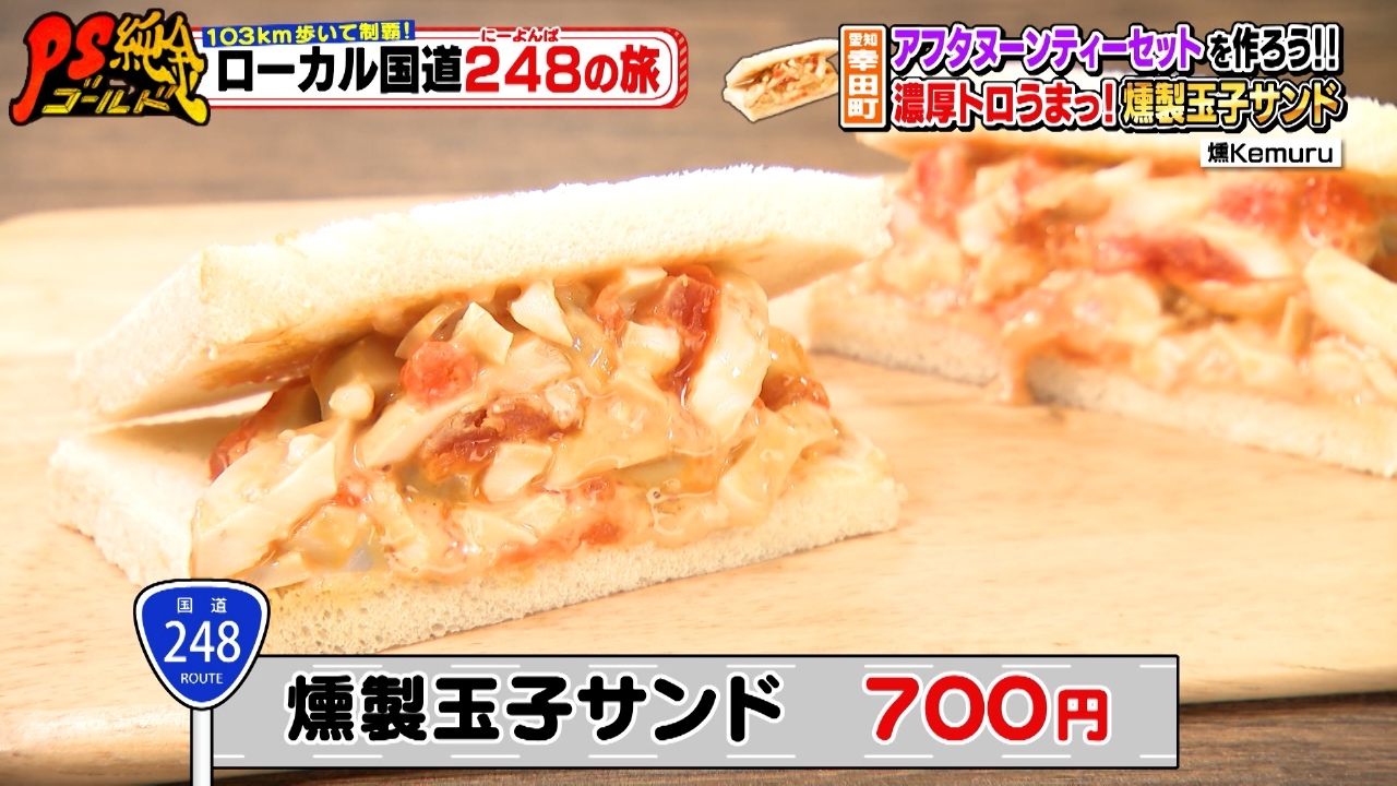 103km歩いて制覇！ローカル国道248の旅