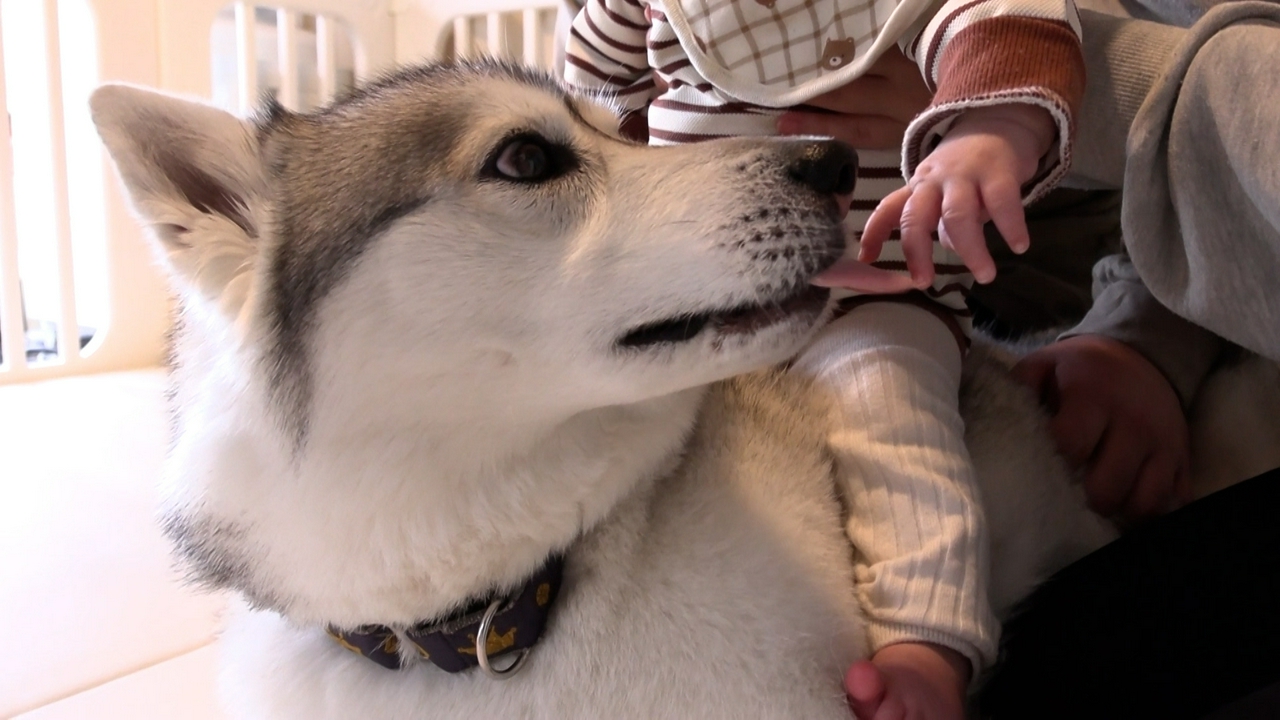 「子どもが生まれたら犬を飼いなさい」ワンコが教えてくれることとは