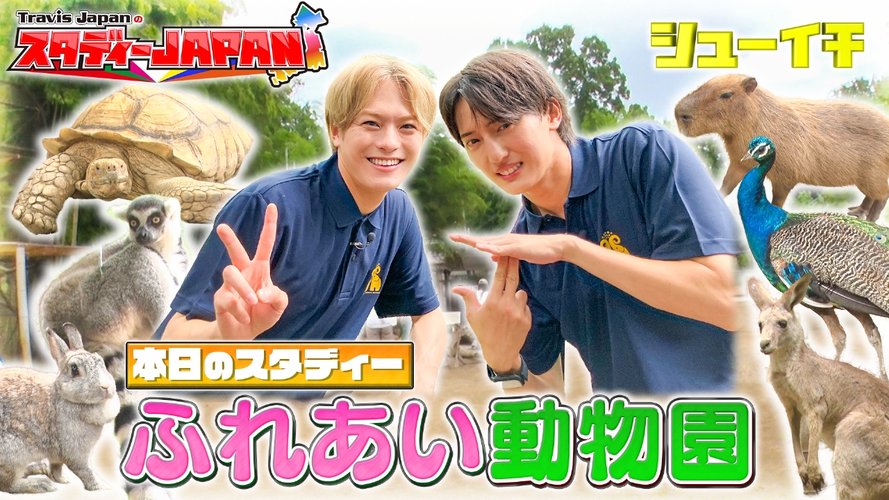 ふれあい動物園をスタディー【Travis JapanのスタディーJAPAN】