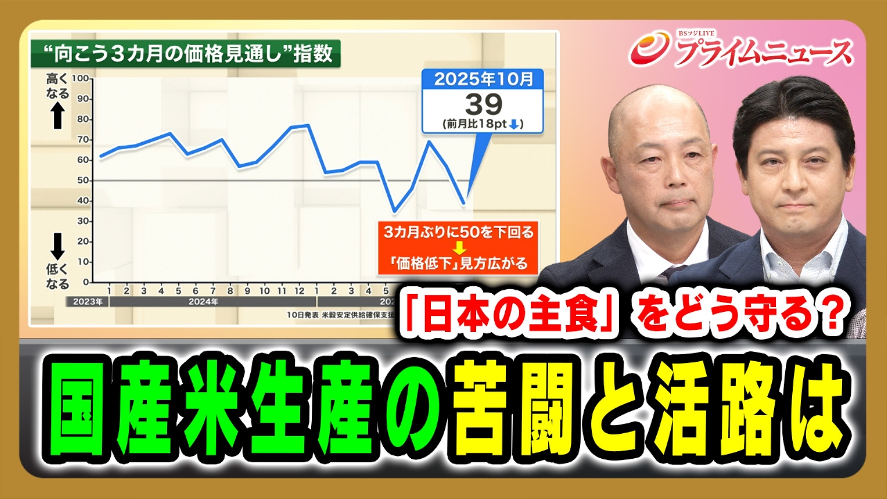 「日本の主食」をどう守る？国産米生産の苦闘と活路は