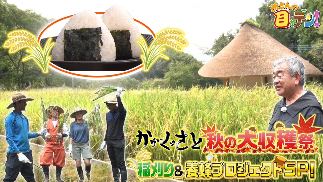 かがくの里秋の収穫祭!隈研吾さんが国連大学関係者に母屋を解説