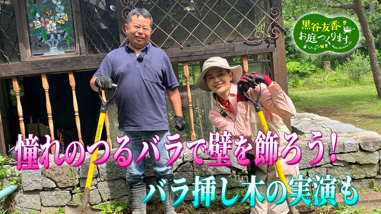 第67回「憧れのつるバラで壁を飾ろう！」