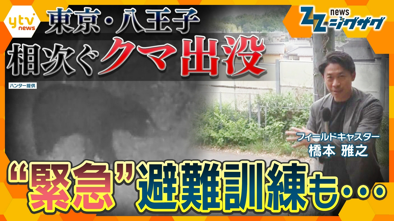 東京でも相次ぐ“クマ目撃”に自治体は「緊急対策」　範囲はどこまで広がる？【ニュース ジグザグ】