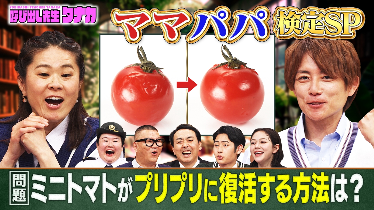 国民栄誉賞ママ澤穂希vs4児のパパ杉浦太陽！家事の裏技検定