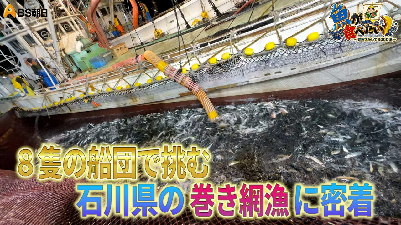 船が沈むほど！？大船団の巻き網漁に密着！