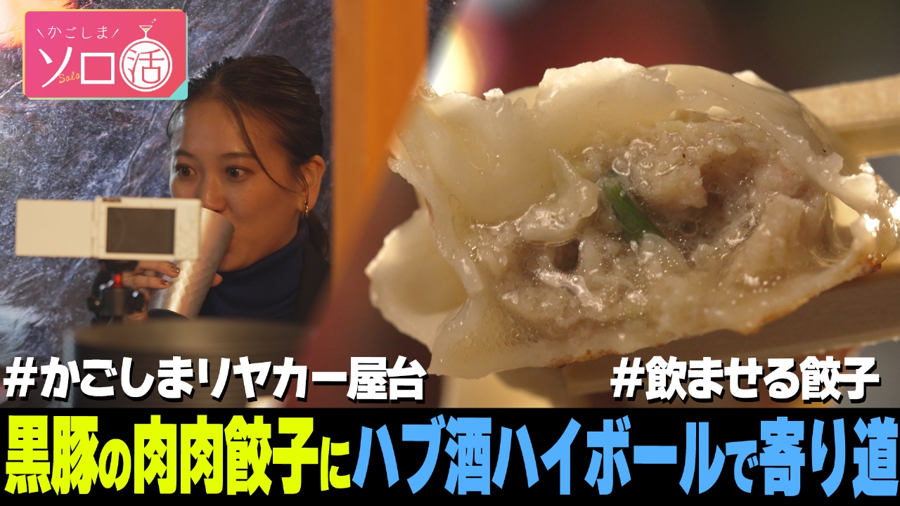 黒豚の肉肉餃子にハブ酒ハイボールで寄り道