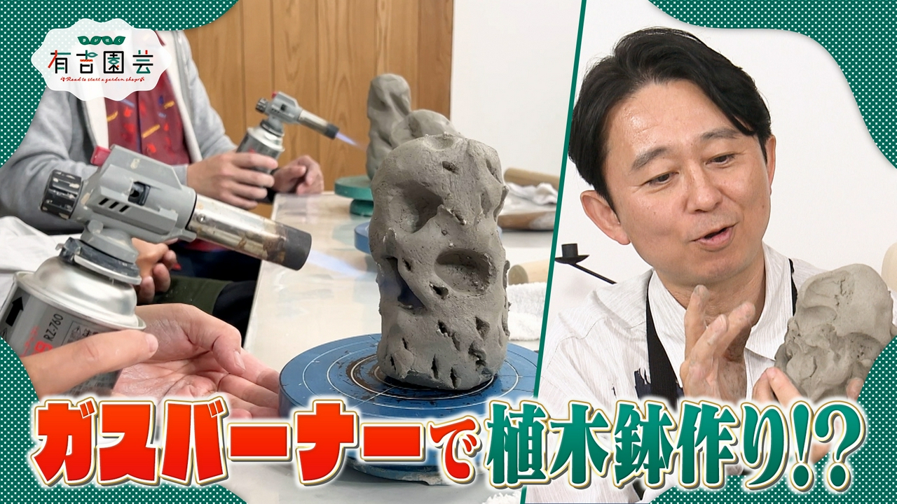 ワイルドな鉢作り