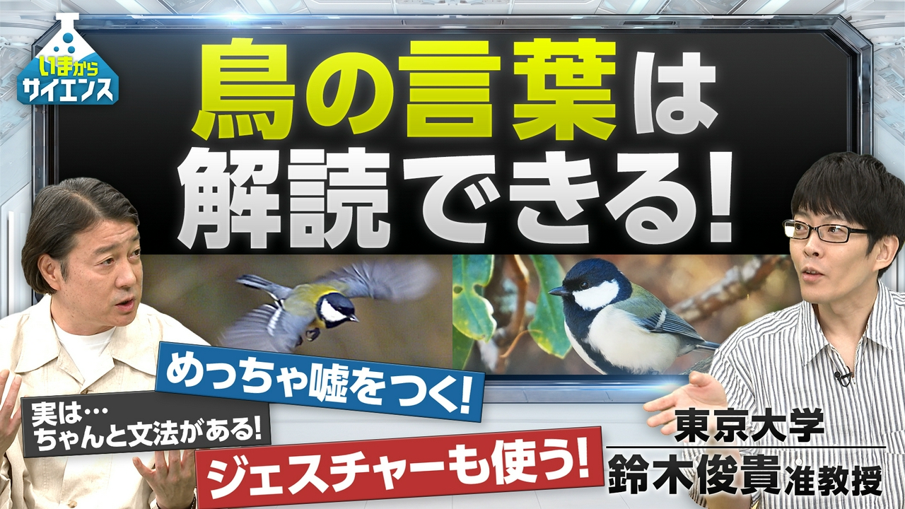 【25万部超え著者】動物にも言葉が？世界初！鳥の言葉を大解明SP