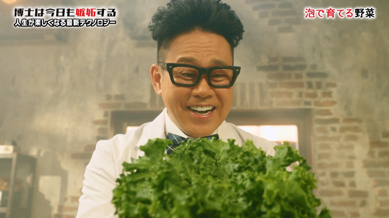 泡で野菜を育てる栽培法