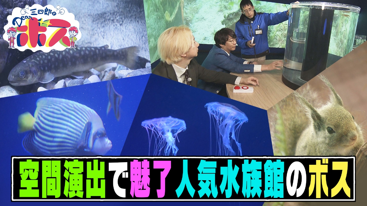 空間演出で人々を魅了! シン・マリホ水族館の館長ボス