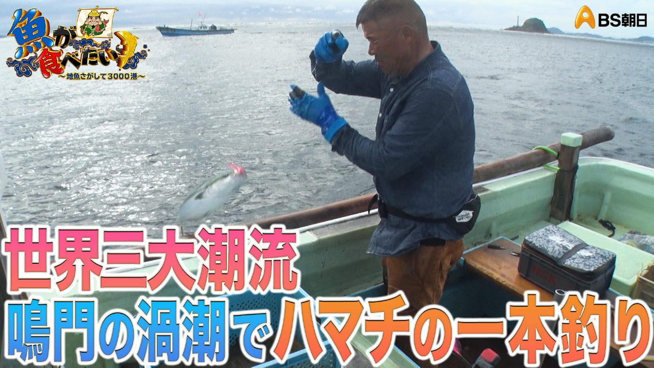 鳴門の渦潮のすぐそばで流されながら獲るハマチとは！