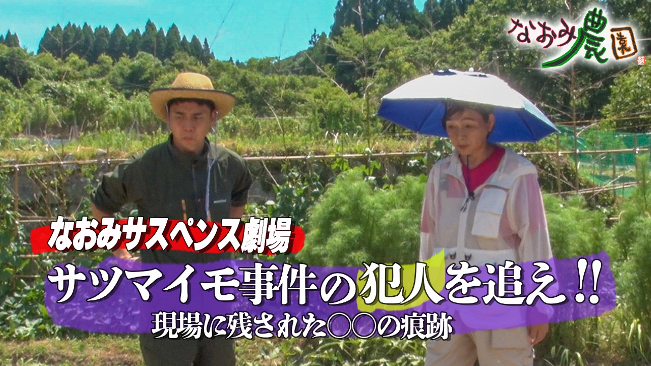 なおみサスペンス劇場～消えたサツマイモの行方～