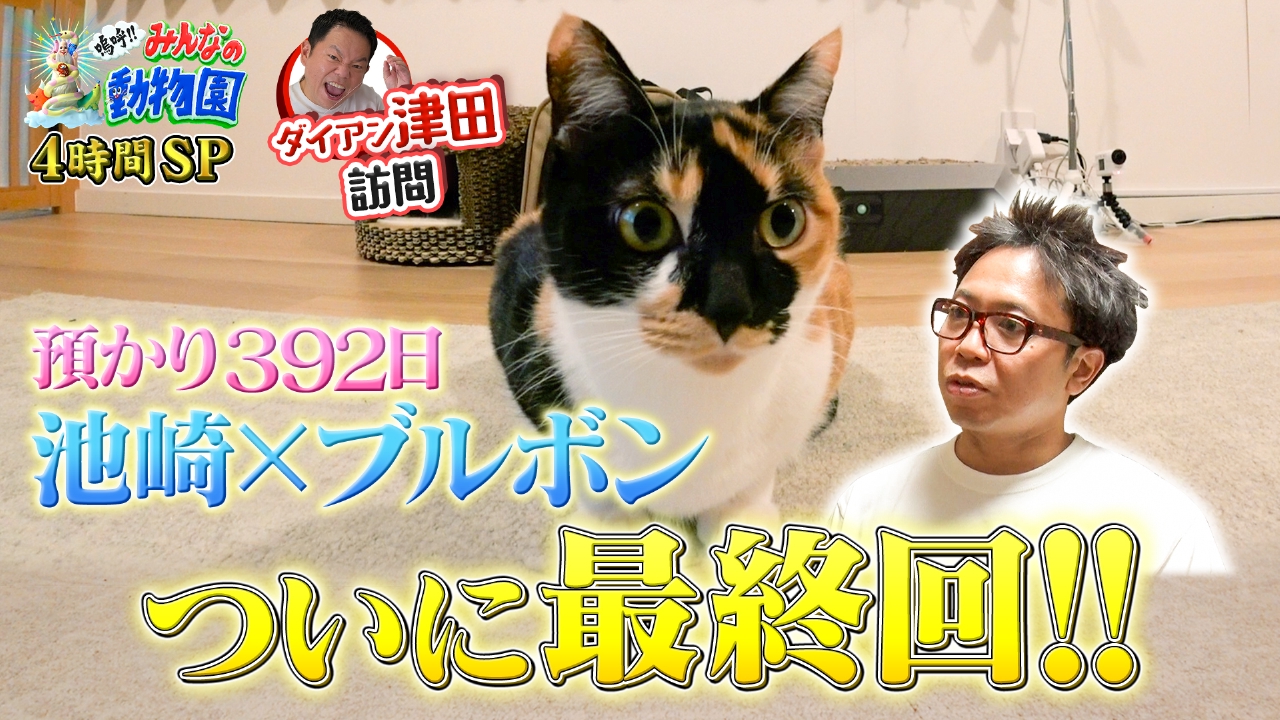 サンシャイン池崎&ブルボン譲渡会参加！最終回SP