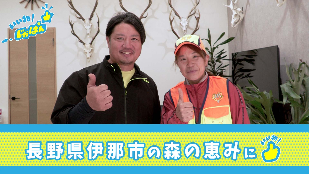 豊かな森の恵み・長野県伊那市の絶品グルメ