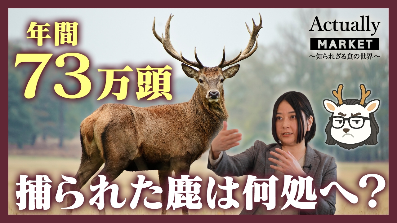 年間73万頭 捕られた鹿は何処へ？