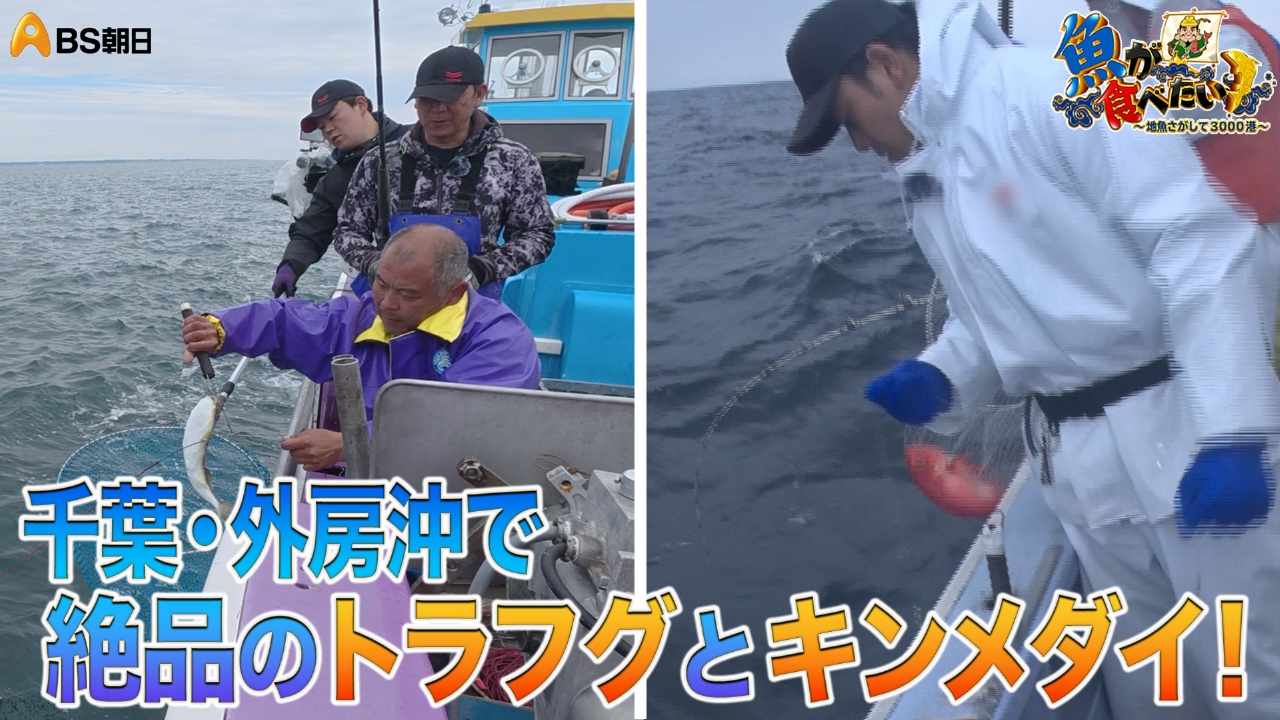千葉県でトラフグが大漁！絶品のキンメダイも！