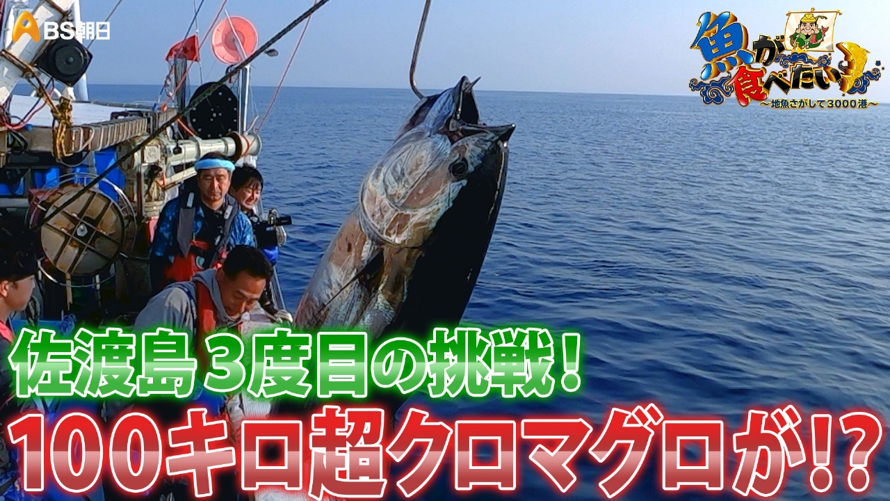 佐渡島のすご腕漁師が巨大クロマグロ漁に挑む！