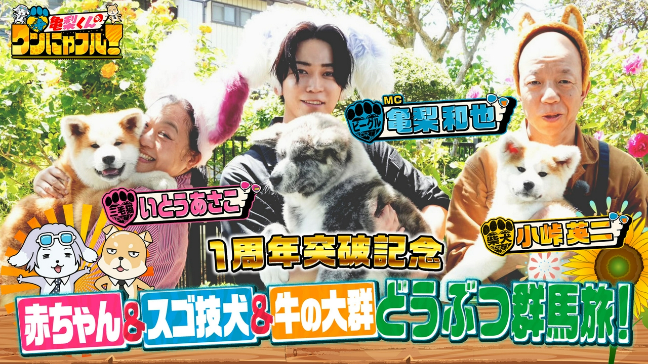 MC：亀梨和也！亀梨＆小峠＆いとうあさこ群馬動物旅SP★シャーシャー保護猫