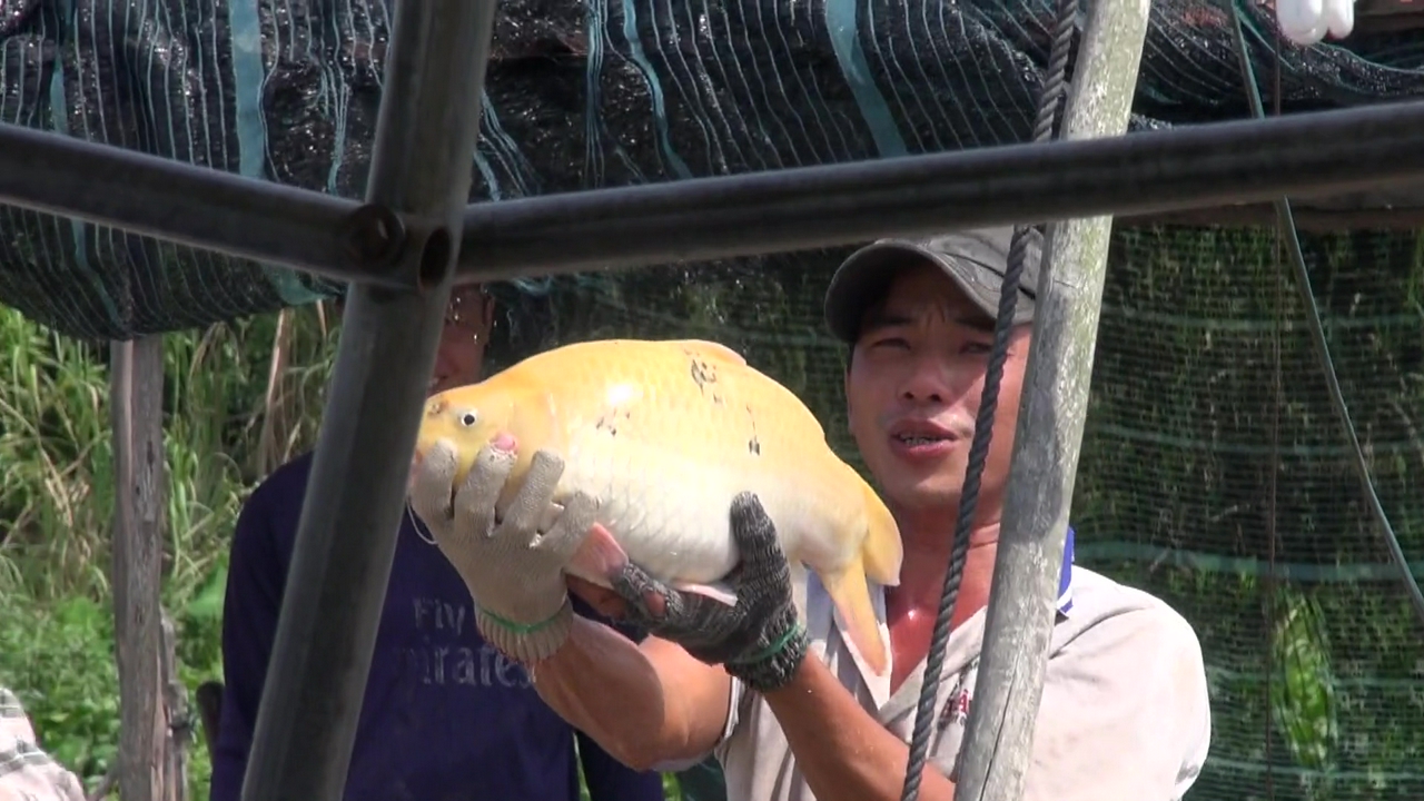 #9 ラグジュアリークルーズ 豊穣なるメコンデルタ 水の恵み ～ カンボジア・ベトナム ～