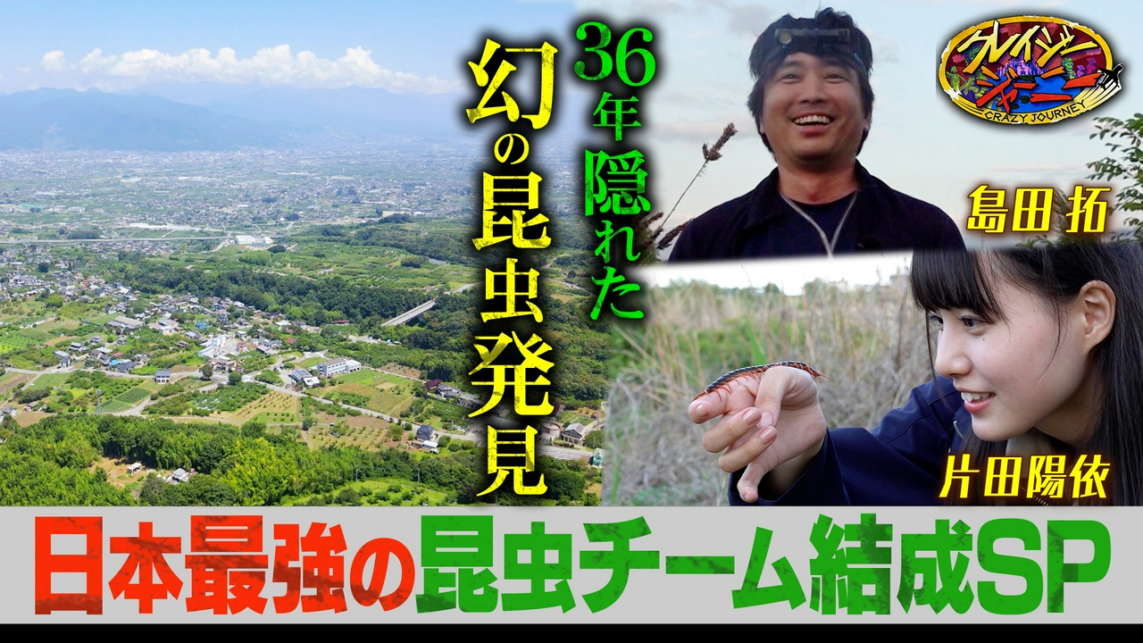 昆虫コンビ島田拓・丸山宗利が新ユニット結成！強烈キャラ学者＆虫愛でる姫と幻の虫探し旅