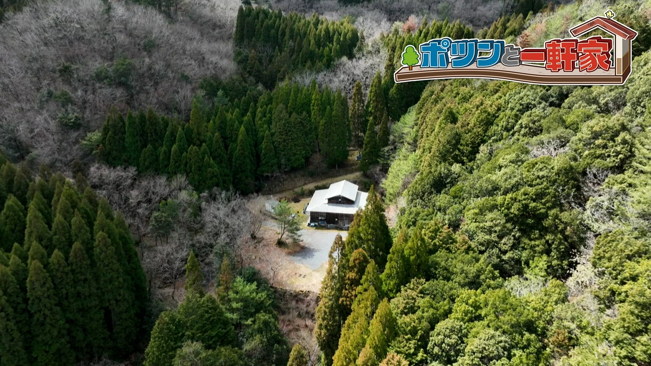 大分県で木々に埋もれるようにひっそりと建つ一軒家を発見！たくさんの猫たちと穏やかに暮らす様子に、ゲストも思わずほっこり