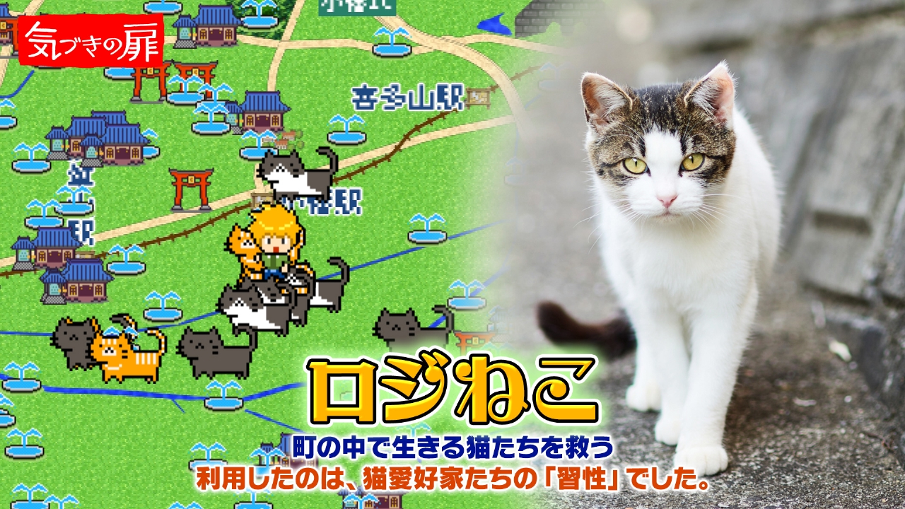 2026年1月30日放送