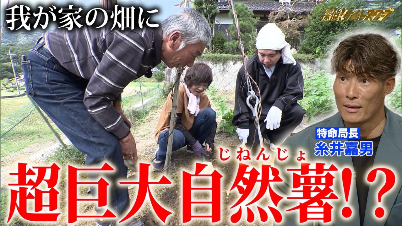 父の愛…９歳の娘にキレイな三つ編みを＆３ｍのお宝自然薯【特命局長：糸井嘉男】