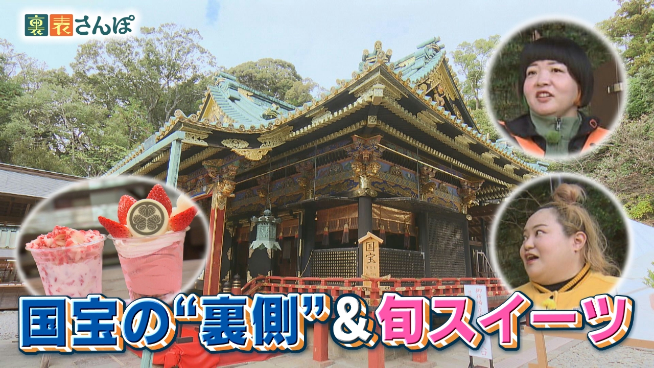 静岡市・久能街道「国宝の“裏側”＆旬スイーツ」