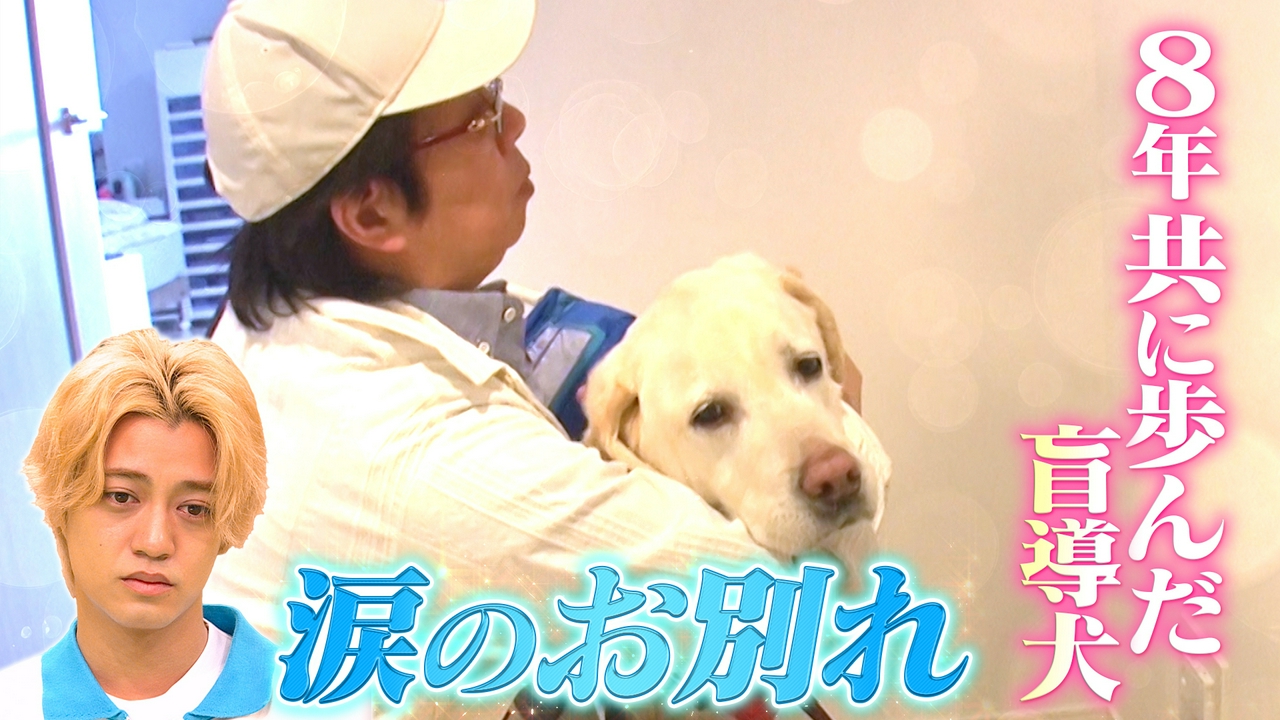 8年間生活を支えてきた盲導犬クールが涙の引退