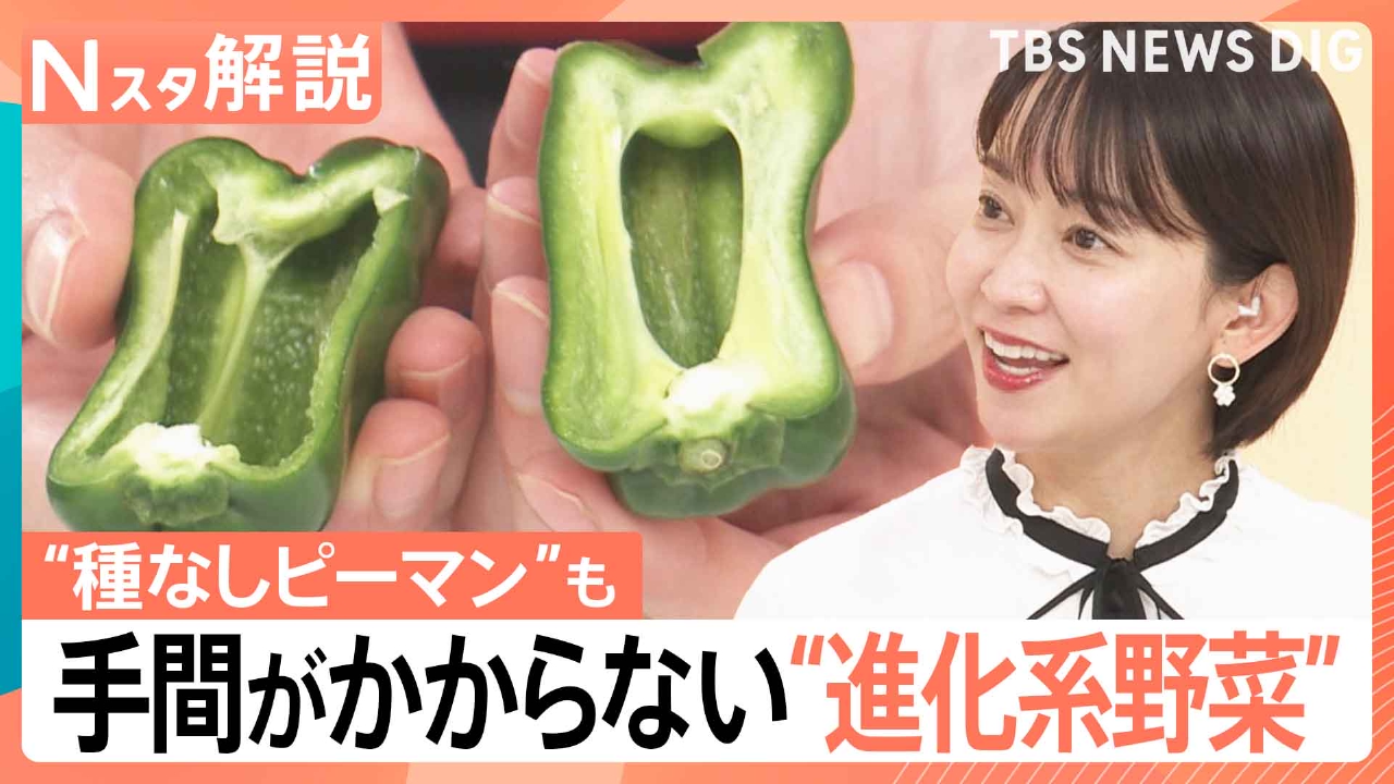 “時短ピーマン”に涙の原因を抑えたタマネギも…“進化形野菜”【Nスタ】