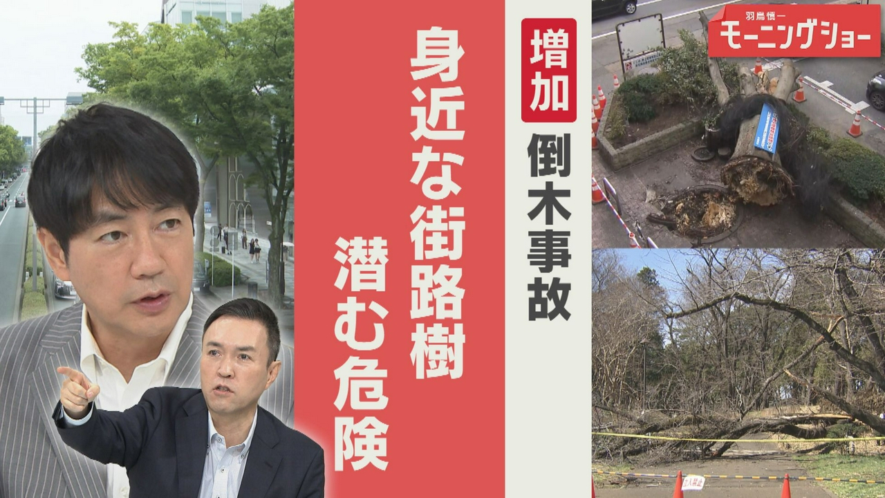 増える倒木　下敷きで死者も　街路樹に潜む危険