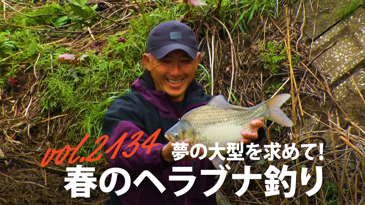 夢の大型を求めて！春のヘラブナ釣り