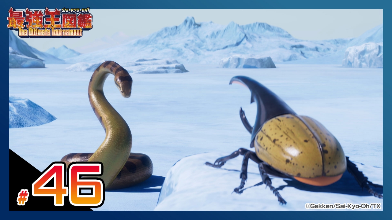 【準決勝第1試合】ティタノボア VS ヘラクレスオオカブト