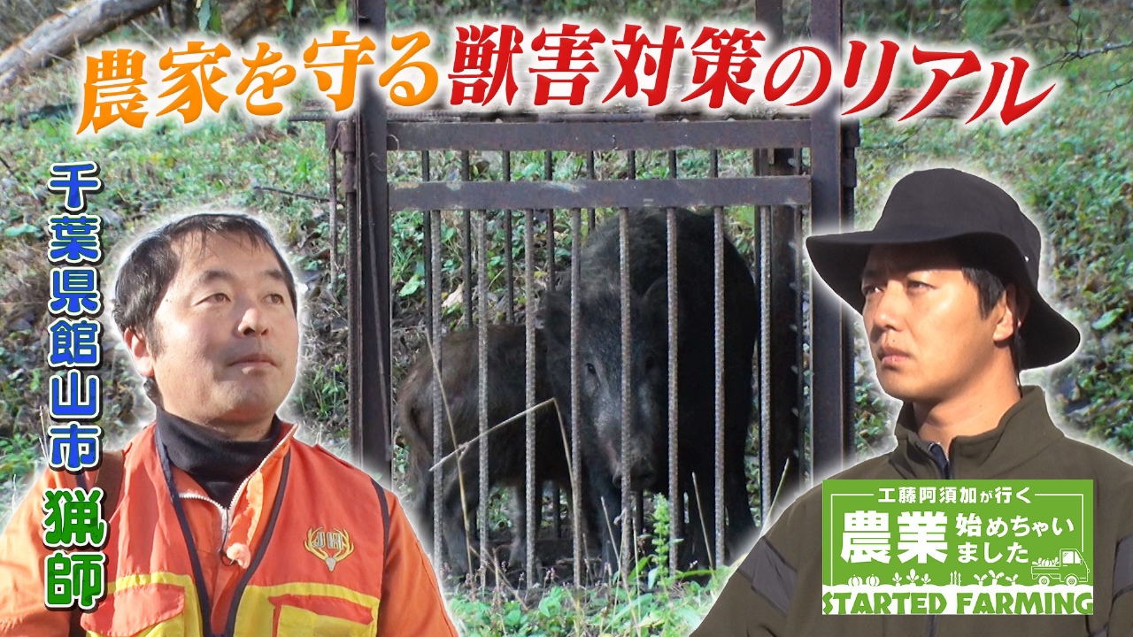 獣害から農家を守る！動物との共生を目指す心優しき猟師