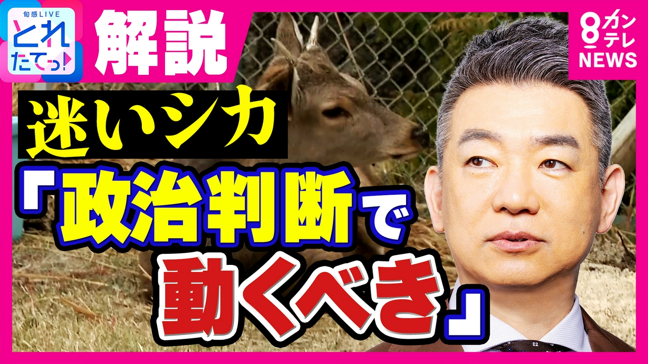 “迷いシカ”新居でまったり過ごすも橋下徹氏は“行政の対応に怒り”「政治判断で動くべき。大都心部でシカ走ってたら危ない、まず捕獲」奈良県にも苦言