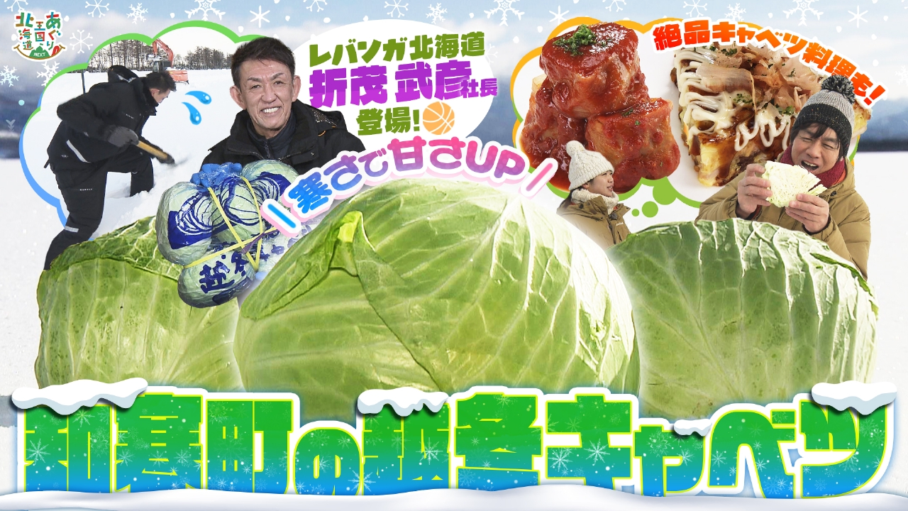 レバンガ北海道折茂社長と和寒町の越冬キャベツを取材！
