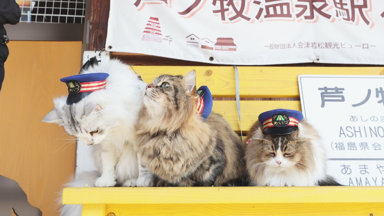 Vol.100　みんなで駅を盛り上げるにゃ！