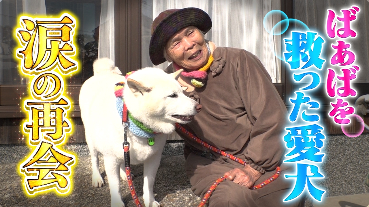 最愛の夫を亡くしたおばあちゃんを救ったワンコ