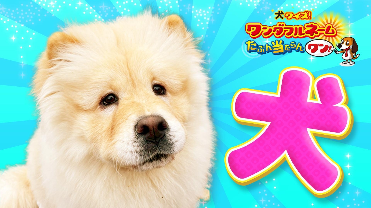 海を一望！淡路島IC５分“感無量”物件の屋上には〇〇風呂