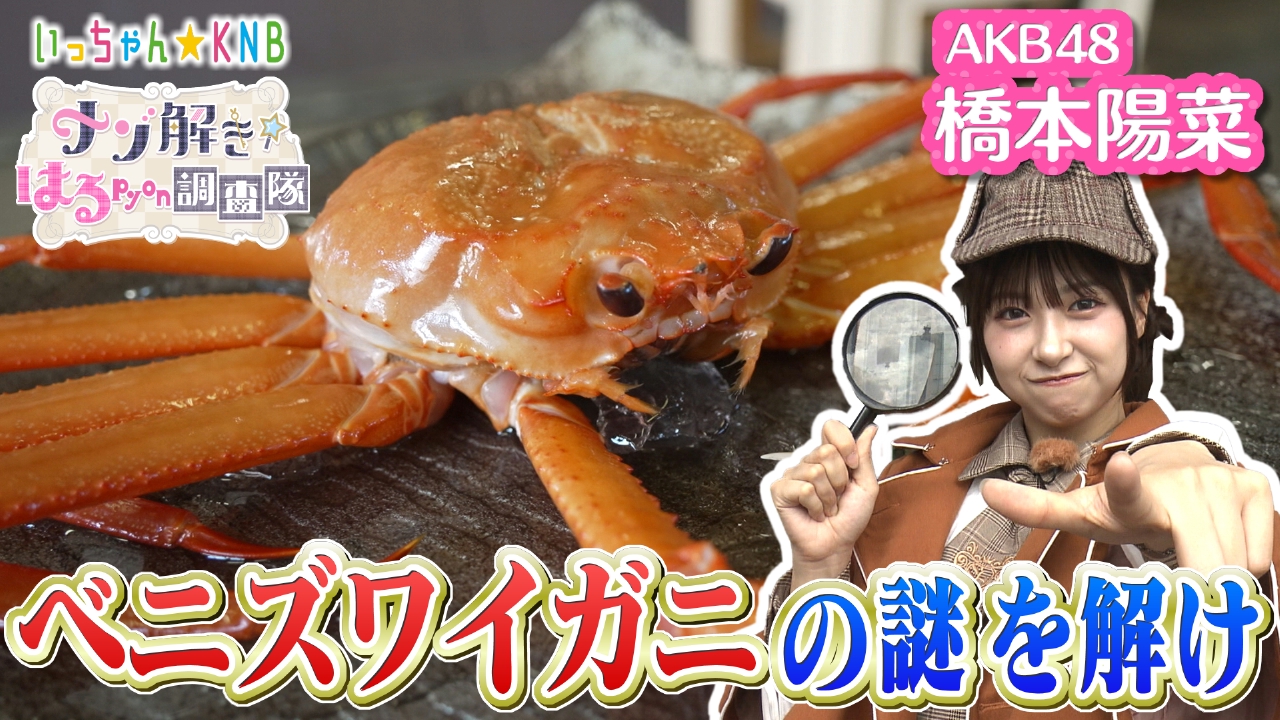 ベニズワイガニの謎を解け！