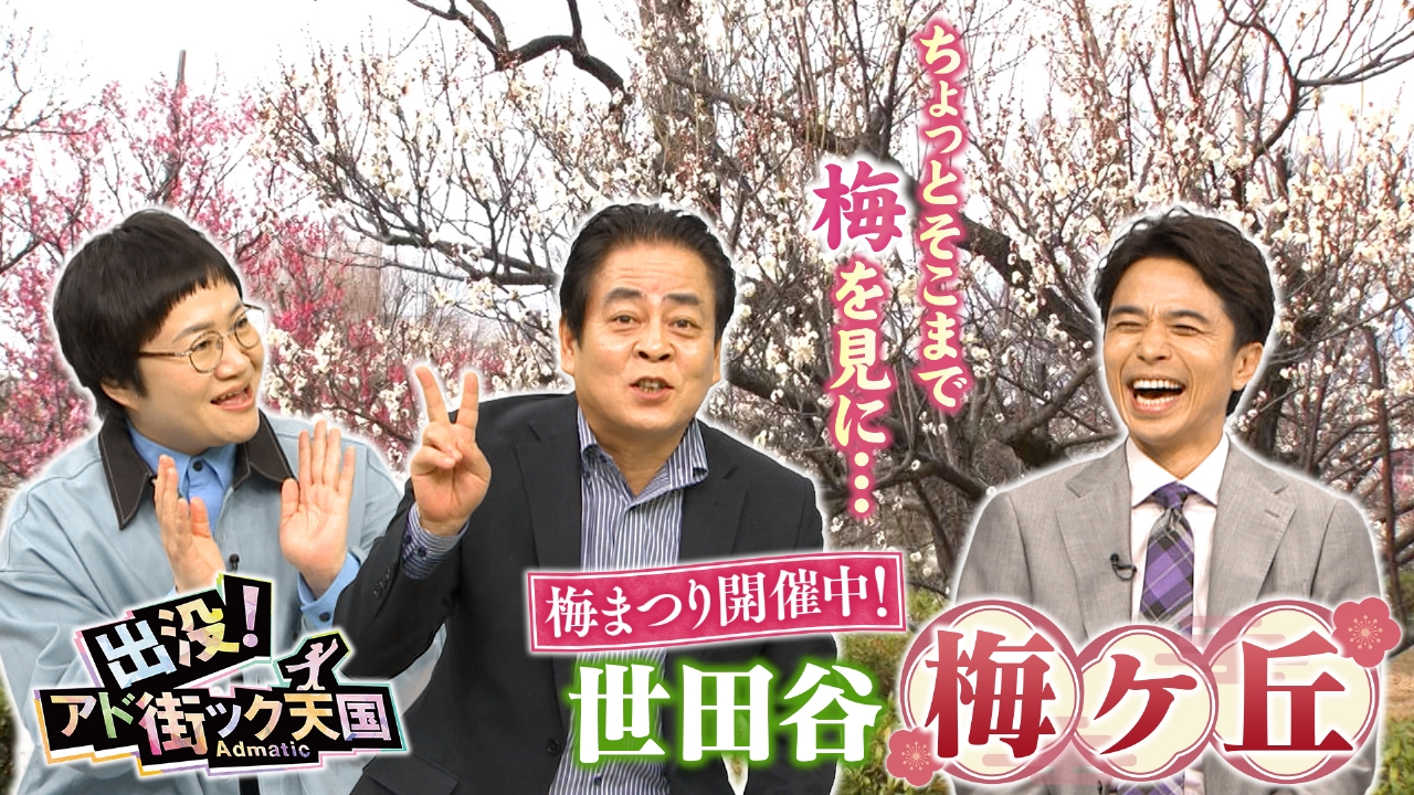 【世田谷・梅ヶ丘】小田急沿線！世田谷に都内屈指☆見頃“梅”の名所