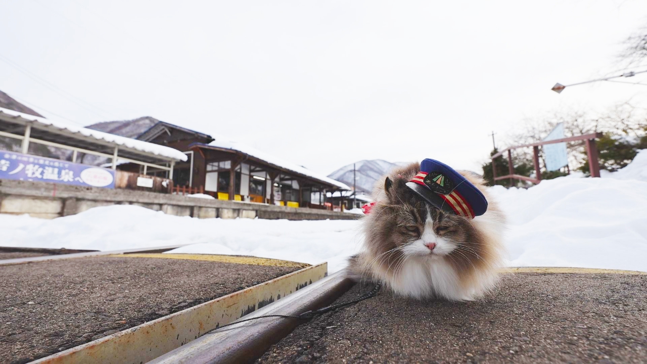 Vol.99　フォトスポットを紹介するにゃ！