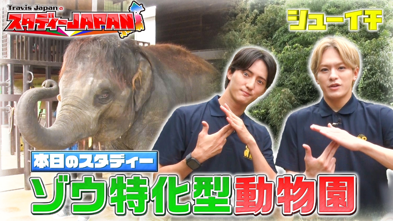ゾウ特化型動物園 前編【Travis JapanのスタディーJAPAN】