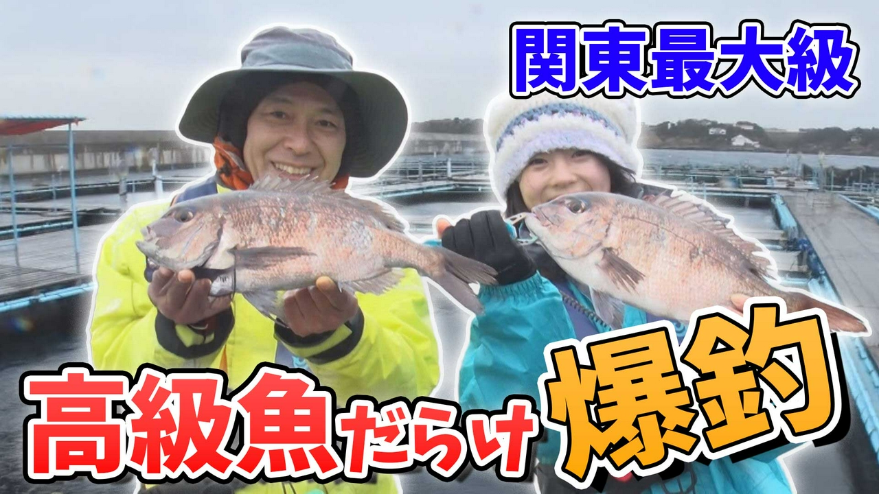 関東最大級！！食べておいしい高級魚を狙い！海上釣り堀ならまかせろ！前編