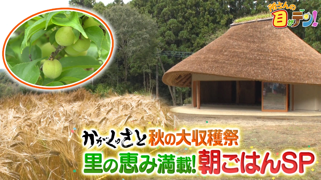 秋の収穫祭・里の恵み満載!育てた麦をふんだんに使った朝ごはん