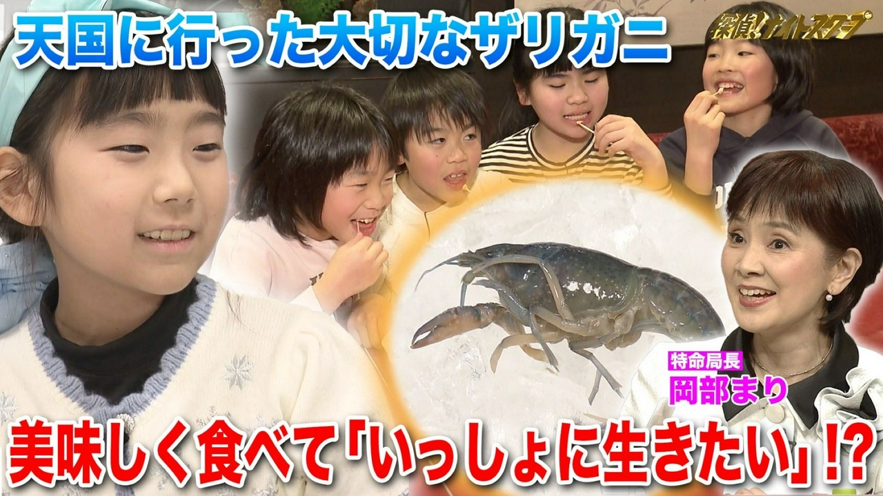 愛を込めてザリガニを食べる…９歳の女の子にとっての食育！？【特命局長：岡部まり】