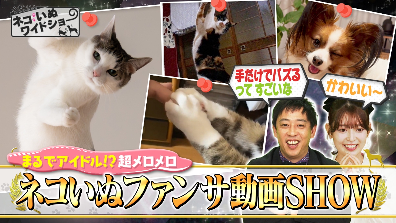 「ネコの日」直前1時間スペシャル！