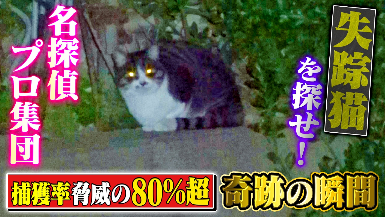 動物専門の超名探偵集団に完全密着！