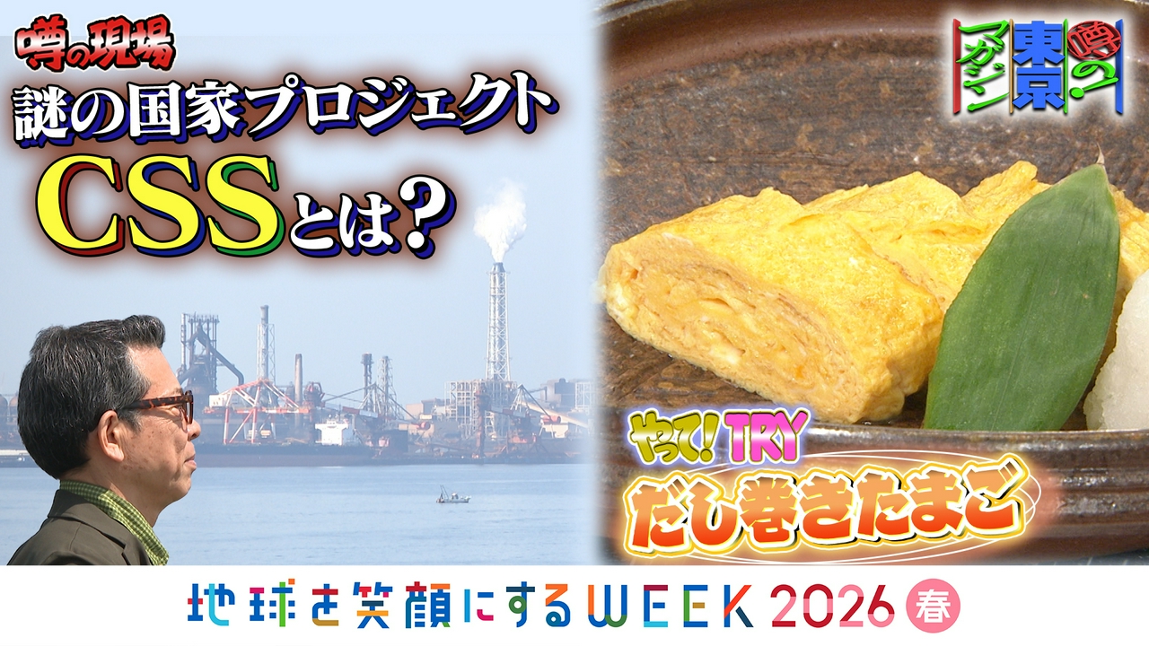 二酸化炭素を海底の地層に埋める？