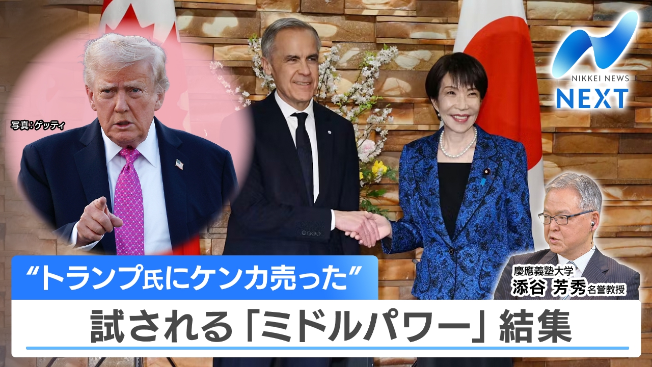 不安定な日経平均、今後のリスクシナリオは？▼「ミドルパワー外交」